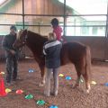 Terapije s konji